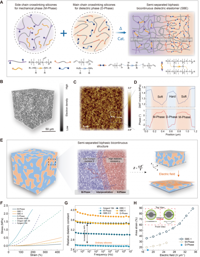 上海科学家团队为软体机器人开发高性能的电作动人工肌肉(图2)