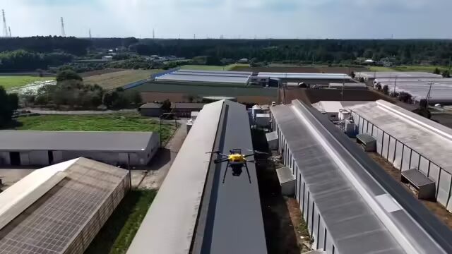 高科技养鸡:日本NTT开发激光无人机,红绿“光剑”齐射撑起防禽流感“保护伞”(图1) 高科技养鸡:日本NTT开发激光无人机,红绿“光剑”齐射撑起防禽流感“保护伞”(图1)