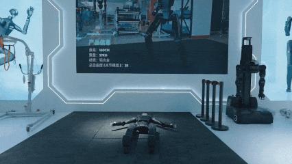 WRC2025 上的“颠覆者样本”:生而成熟的鹿明机器人(图3) WRC2025 上的“颠覆者样本”:生而成熟的鹿明机器人(图3)