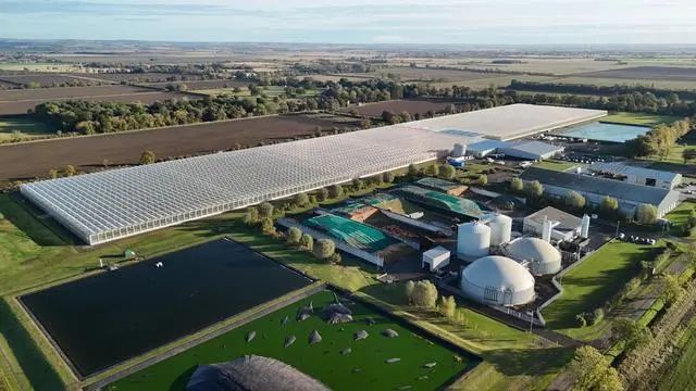 1000磅重的轮子和机器人正在种植戴森草莓(图3)