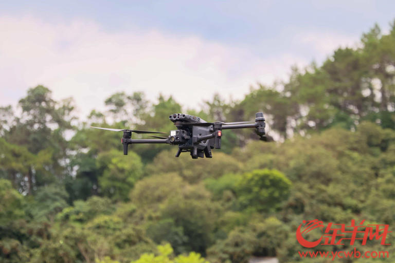 荔枝采摘机器人的背后:科技重塑荔枝产业的经济逻辑 荔枝采摘机器人的背后:科技重塑荔枝产业的经济逻辑(图4)