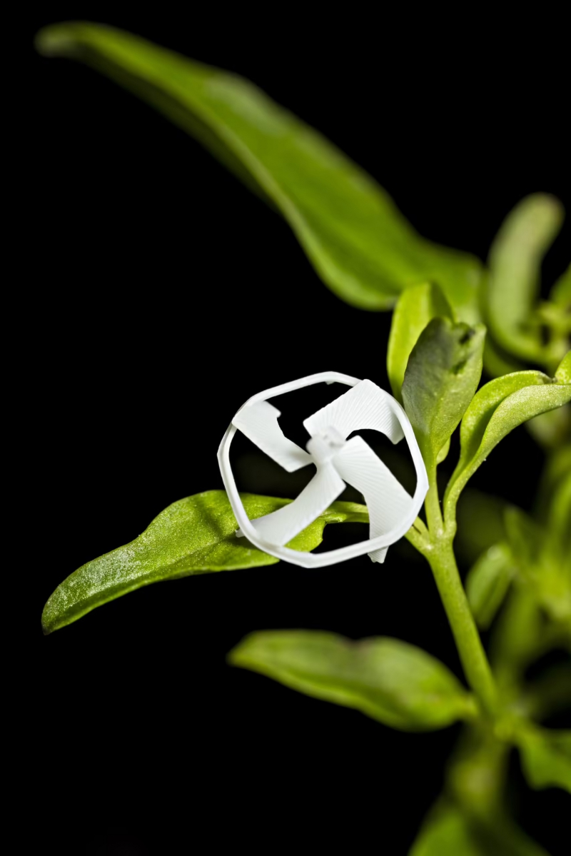 加大伯克利团队开发世界最小可控制飞行无线机器人,翼展不足 1 厘米(图2) 加大伯克利团队开发世界最小可控制飞行无线机器人,翼展不足 1 厘米(图2)