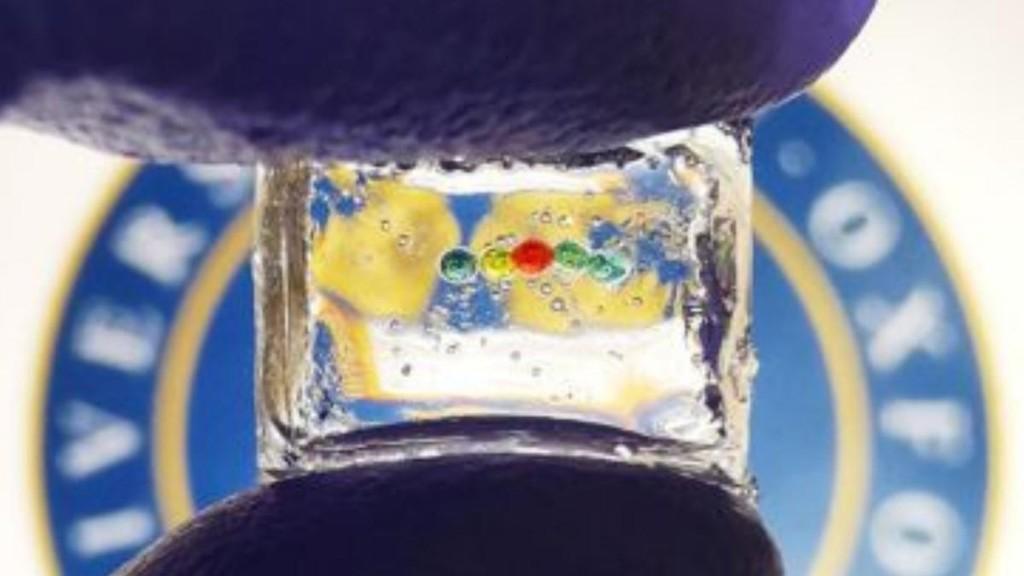 仿古生物机器人助解生命演化史谜团,验证先祖从游泳到行走转变的多种假说|总编辑圈点(图1) 仿古生物机器人助解生命演化史谜团,验证先祖从游泳到行走转变的多种假说|总编辑圈点(图1)