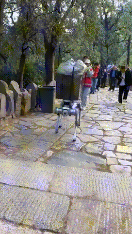 山东一只“机器狗”火遍全网！确实厉害→(图3)