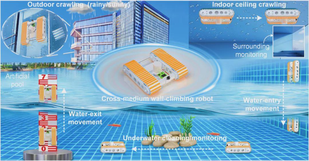 告别磁铁和吸盘！中国团队造出生物履带，让机器人真成了水陆两栖壁虎(图2)