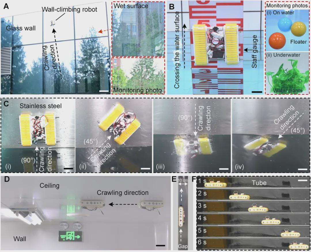 告别磁铁和吸盘！中国团队造出生物履带，让机器人真成了水陆两栖壁虎(图6)