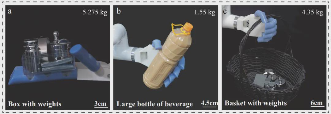 Nature子刊发表！中国地质大学团队研发刚-柔-软结构仿人手指，既能托举20倍自重，也能无损拿捏豆腐蛋黄(图4)