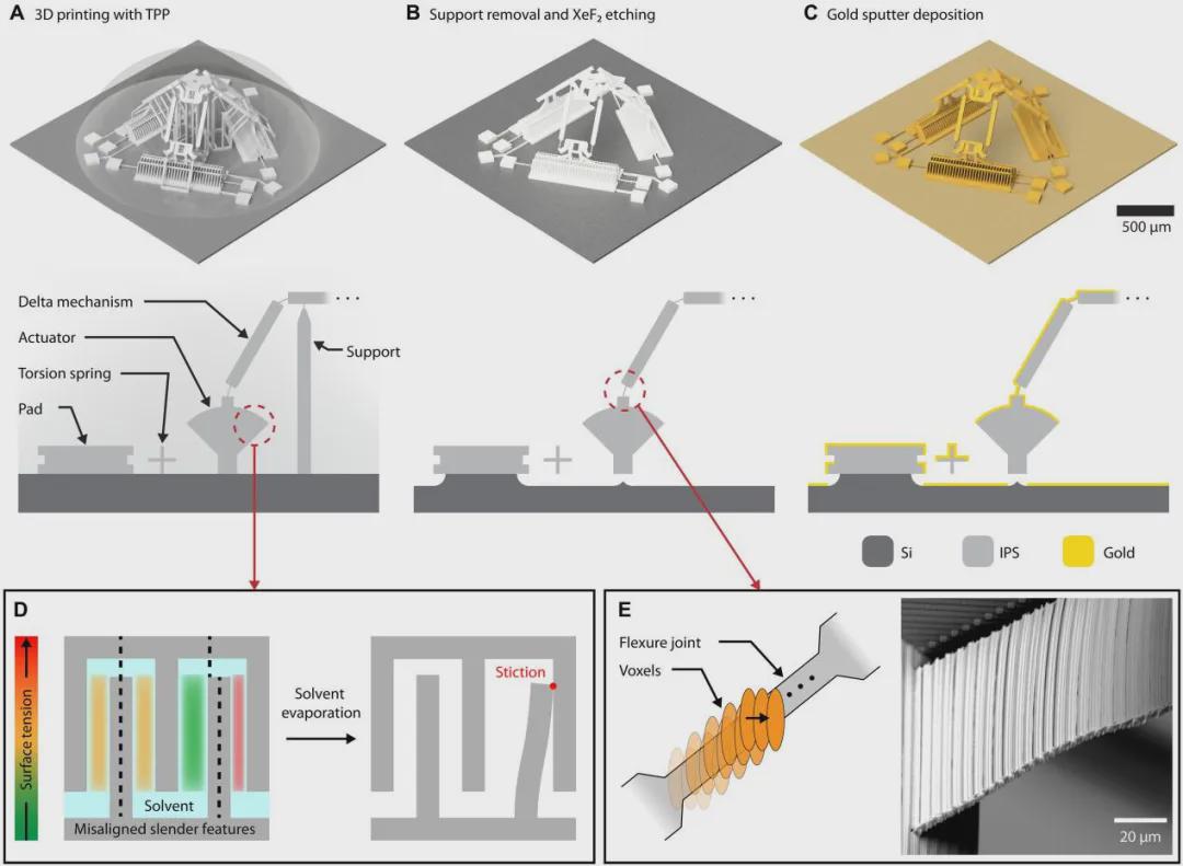 全球“最小”Delta机器人！3D打印而成，论文登顶《Science Robotics》(图4)
