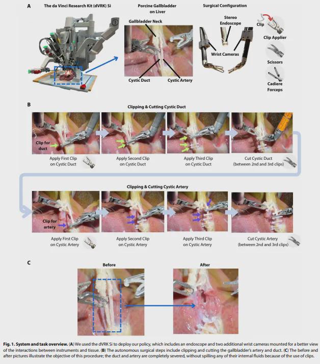 重磅！Science子刊最新封面！里程碑突破：机器人首次自主手术100%成功！(图2)