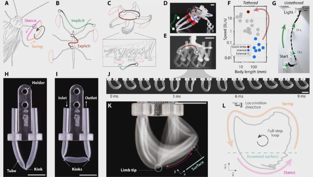 《Science》发表！自振肢体技术赋能软体机器人实现生物级步态(图2)