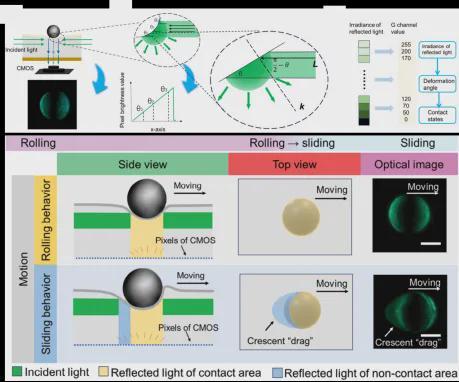  机器人"感知"细微形变！华南师范团队提出基于接触界面分析的视触觉感知策略””。(图4)