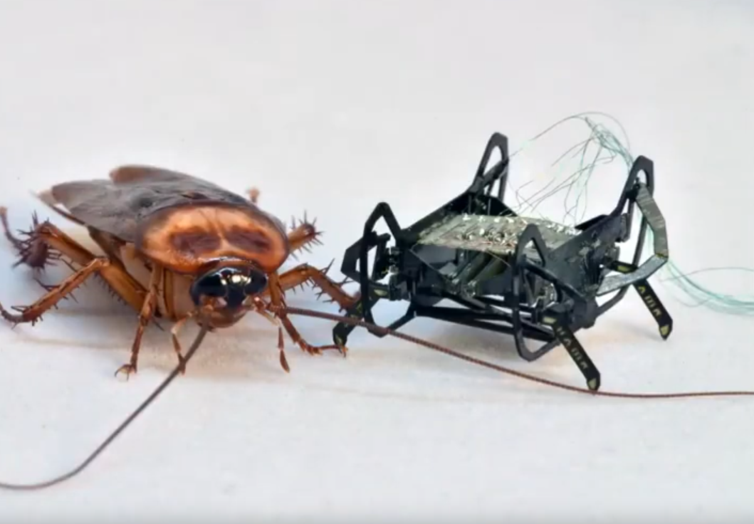  23倍体长跳跃奇迹！哈佛团队Science Robotics发表多模态微型机器人，实现仿生跳跃+高效步行！(图1)