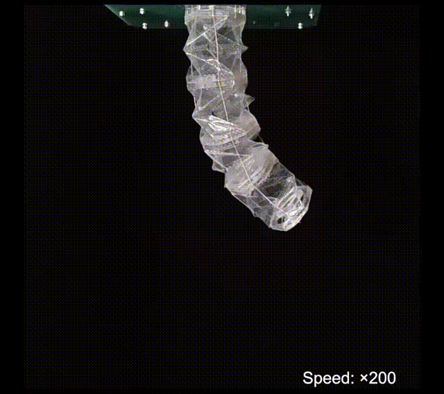 ​西湖大学Science Advances新成果：可降解的模块化自感知折纸机器人(图1)