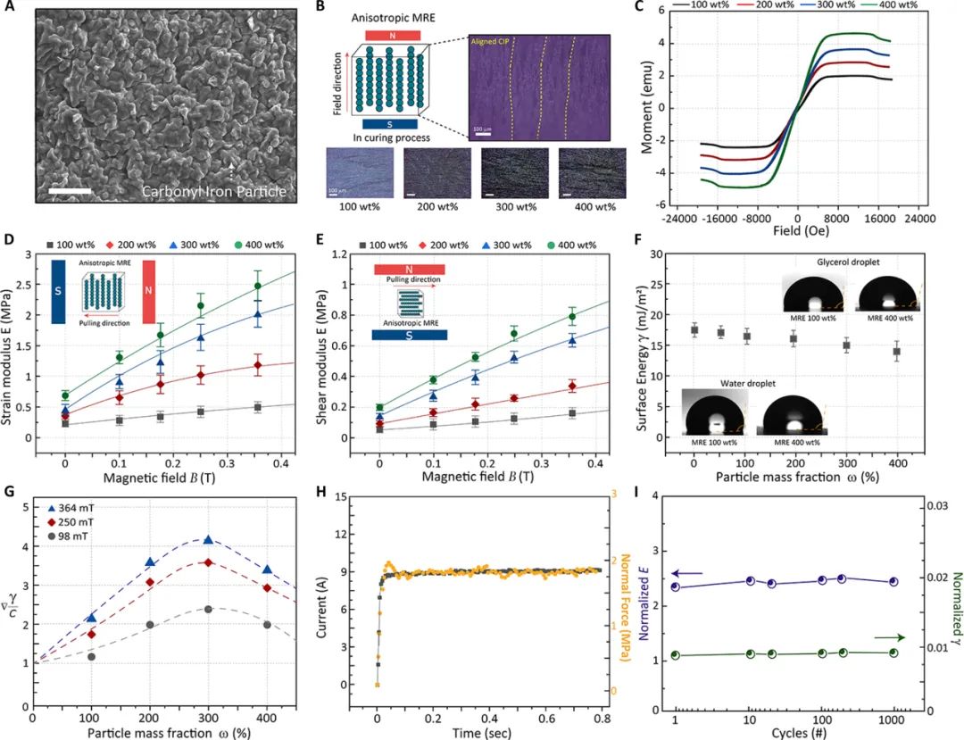  Science Advances发表！德国马克思普朗克智能系统研究所携手高丽大学等多所高校，联合推出可远程控制磁性粘合机器人！(图3)