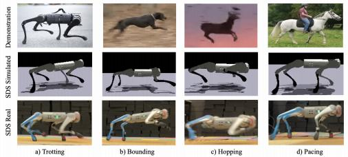  机器人技能学习新突破！伦敦大学团队提出SDS，实现动物多样化敏捷运动技能复制！(图3)