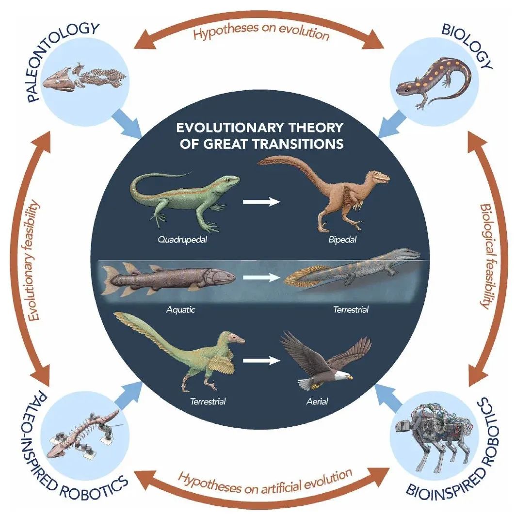 Science Robotics最新一期6篇文章核心内容解析(图5)