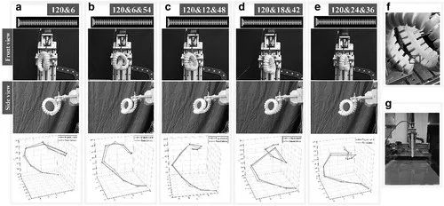 当卷王开始摸鱼！Soft Robotics刊登北工大软体机器象鼻灵活卷走各种物品(图10)