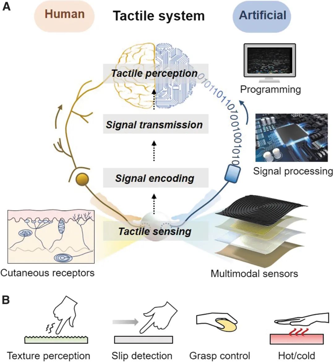 如何让机器人具备实时、多模态的触觉感知能力？(图1)