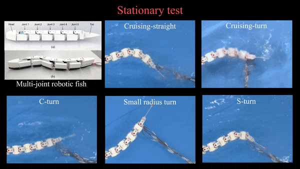 华南理工团队发布可指导仿生机器鱼步态设计的多模态统一运动学模型(图7)