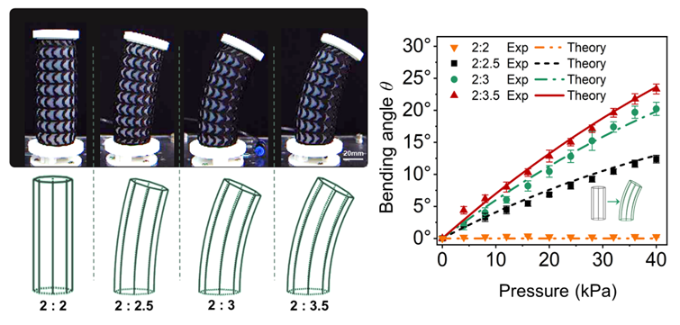 《IEEE Transactions on Robotics》论文：基于网格增强的气动软体机器人建模与设计(图5)