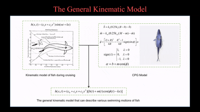 华南理工团队发布可指导仿生机器鱼步态设计的多模态统一运动学模型(图3)