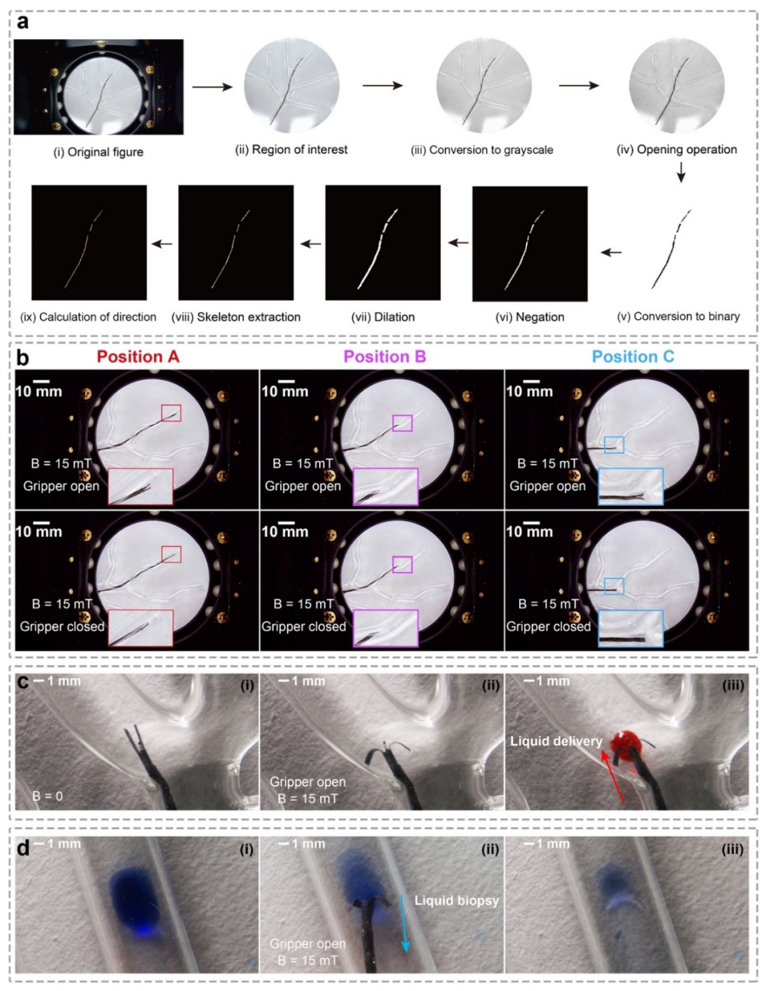 上海交大实现具有末端多功能集成的亚毫米级磁性纤维机器人(图3)