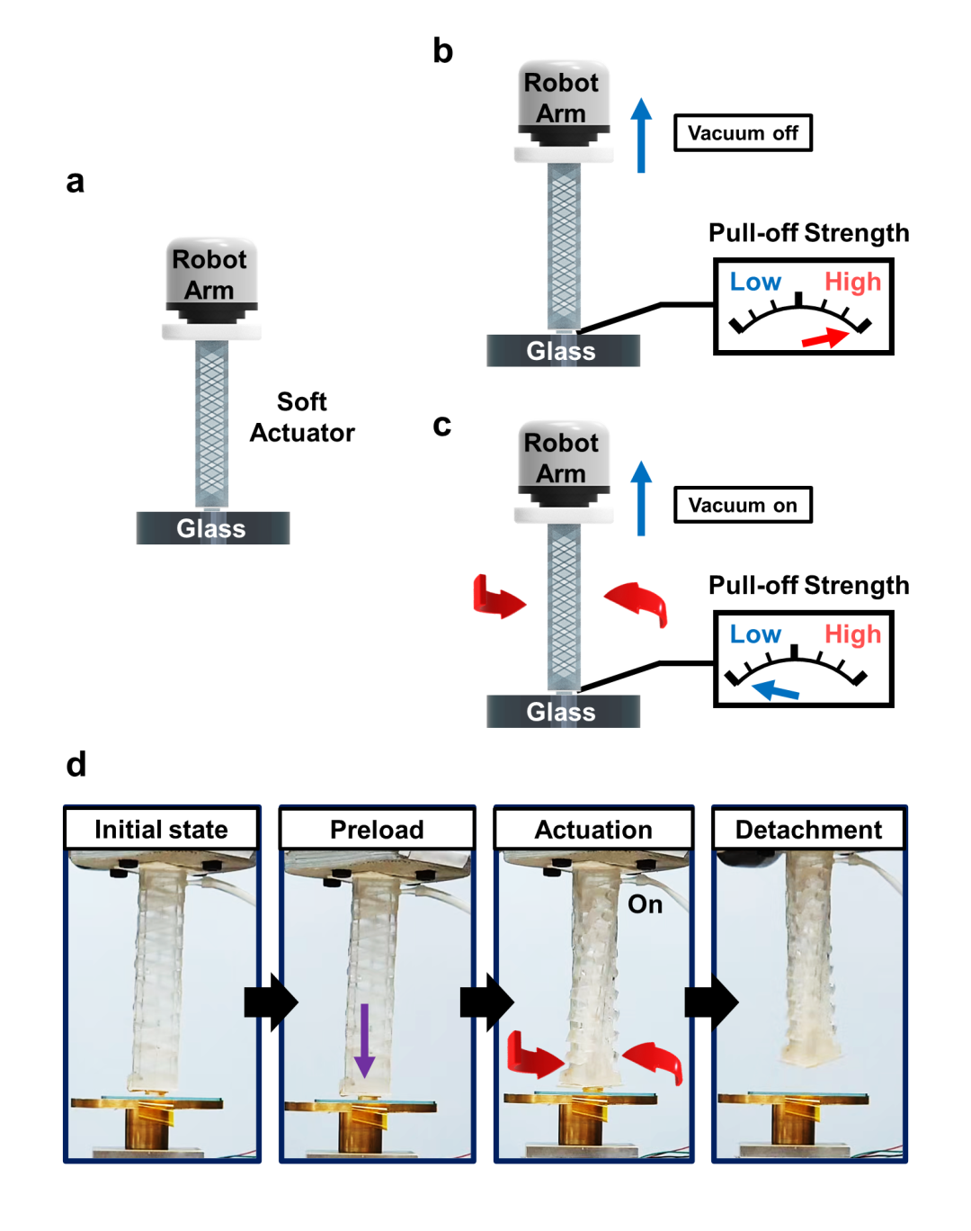 受壁虎启发 最新真空软驱动器 能够实现易碎物体的抓取与放置(图4)