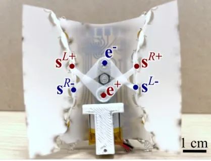 ​四足机器人也走“极简风”？一个马达和电路板就能实现多种复杂功能！(图7)