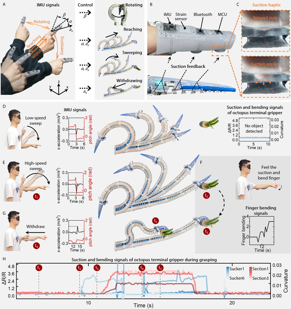 重磅！北航团队Science Robotics软体连续体机器人的感知及环境交互取得新进展(图17)