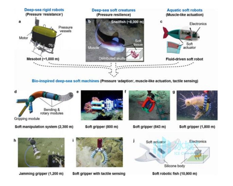 哈工程揭示“深海仿生软体机器人”新方向(图1)