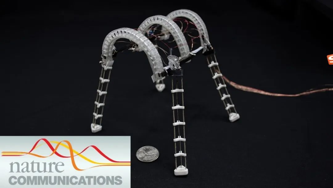 中国学者研发微型变形机器人登Nature子刊，能跑、能爬、又能游！(图2)