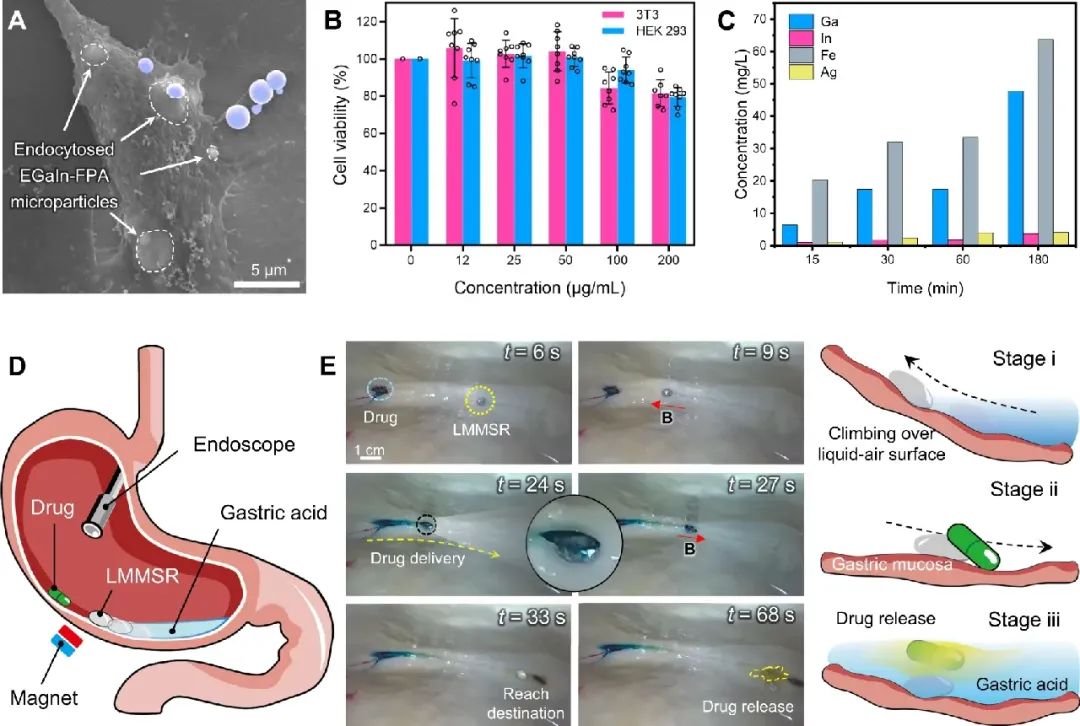 ​《Nature》子刊发表 哈工大公布磁性液态金属研究成果 磁性微型软体机器人获重大突破(图2)