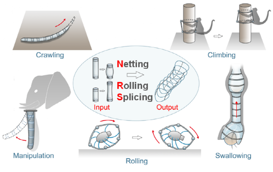 哈工大柔性机器人登《Soft Robotics》，基于人工肌肉的可堆叠‘多面手’！(图1)