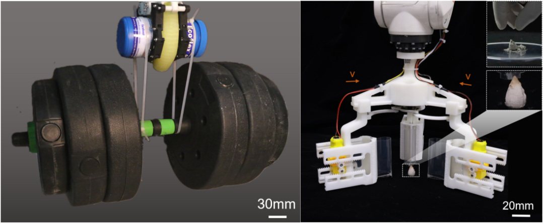 上可稳提27kg哑铃，下可无损捏香灰、活抓金鱼，华中大刚柔耦合抓手展现超强性能！(图1)