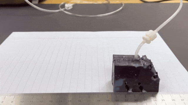 美国国家科学院院刊：AI高效设计一款会走路的机器人，只需26秒(图2)