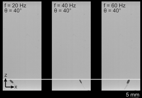 一场属于机器鱼的“奇幻漂流”，可在细小血管中“逆流而上”！(图6)