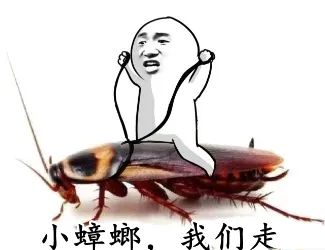 为了让蟑螂少“偷懒”，日本大阪大学团队用到了这些方法(图4)