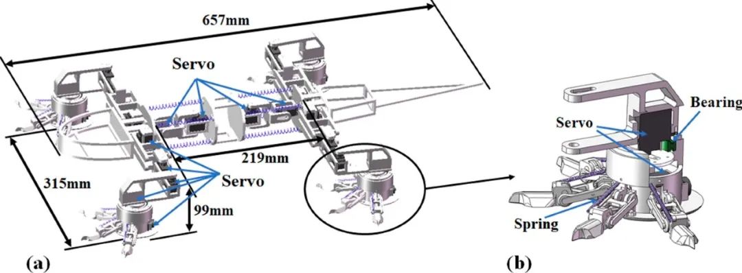 爬上火星的蜥蜴！南航仿生机器人可适应复杂地表，助力火星探索(图6)