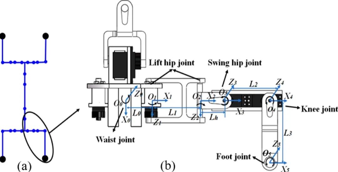 爬上火星的蜥蜴！南航仿生机器人可适应复杂地表，助力火星探索(图7)