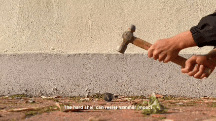 Science子刊重磅！无腿机器人能跳能游还能负重40倍体重，彻底颠覆两栖设计(图3)